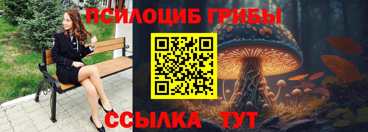 Славгород  Галлюциногенные грибы Magic Shrooms  Псилоцибиновые грибы Psilocybine cubensis  Вход с VPN 