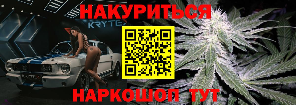 Шишки марихуана план  Вход с VPN  Славгород  Шишки марихуана семена 